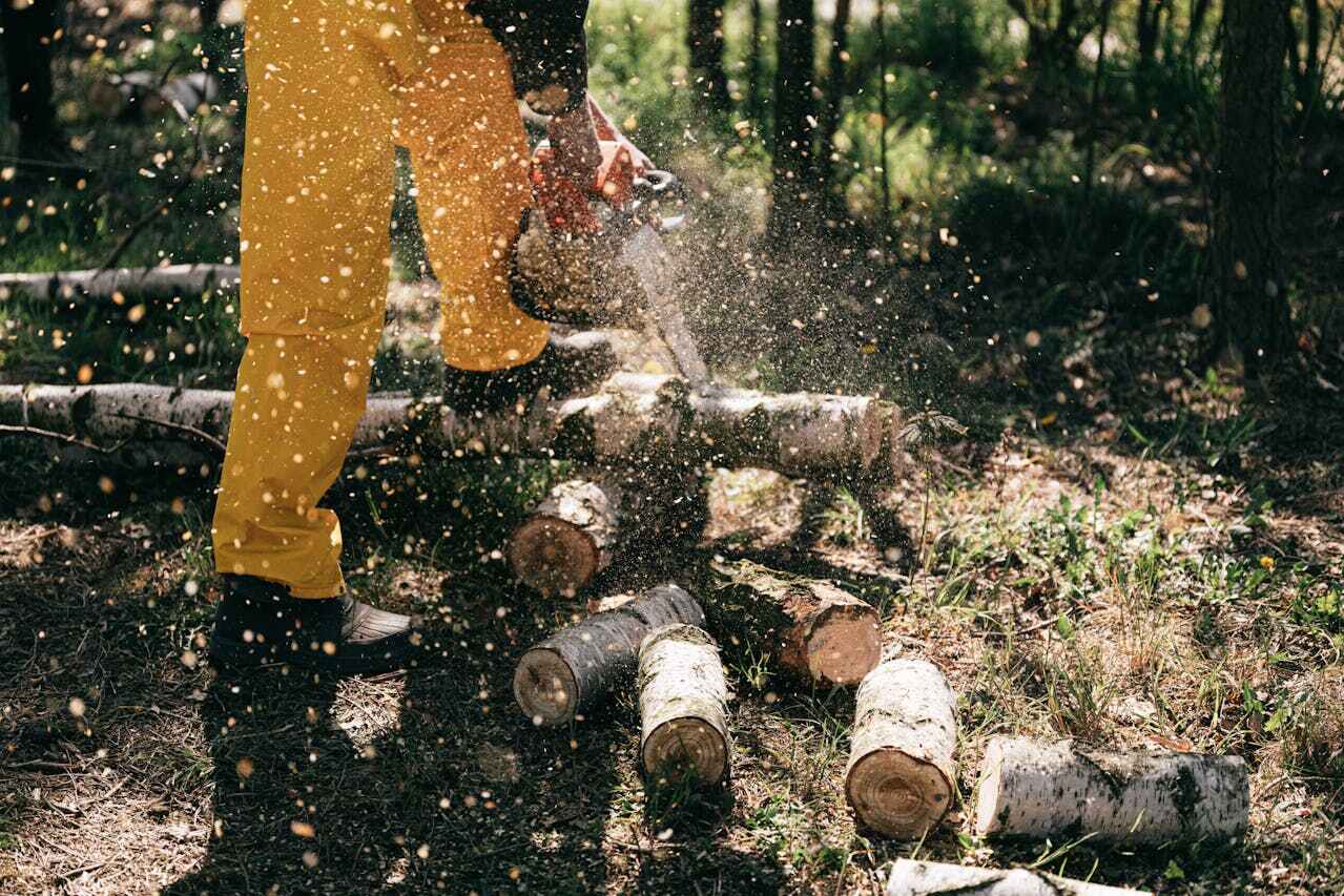 Tree Removal for Businesses